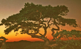 006 - sonnenuntergang gempenfluh